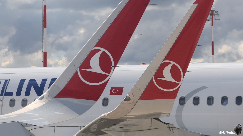 Das Bild zeigt zwei Winglets mit rotem Enden dazwischen ist die türkische Fahne am Nachbarflugzeug.