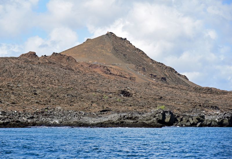 d75_7837.jpg