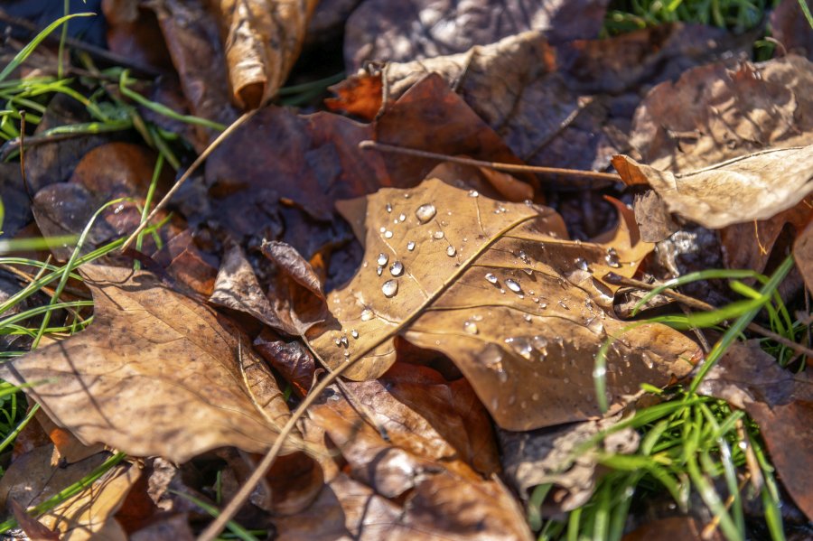 241118_110132.jpg