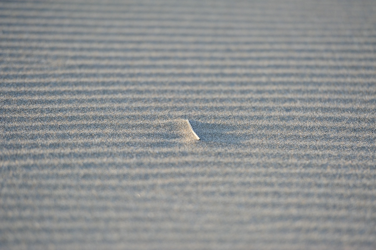 C_DSC_1920.jpg