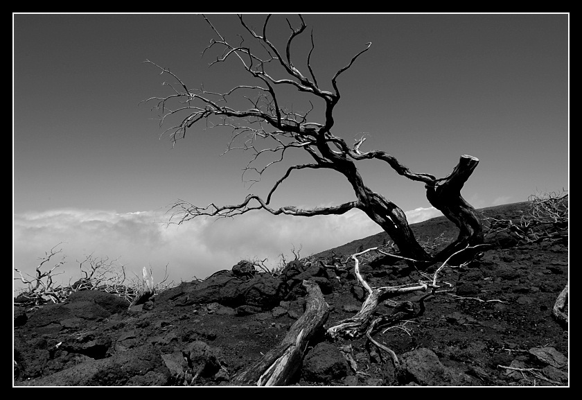 www.nikon-fotografie.de