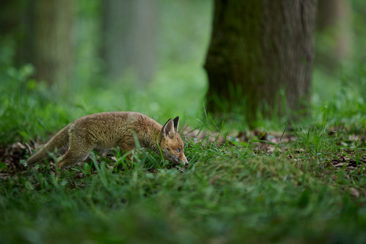 DSC_9191%201-X2.jpg