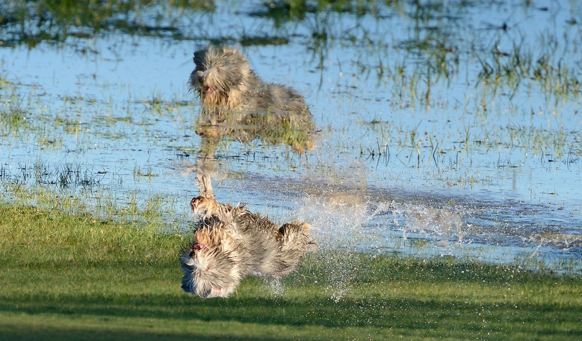 _DSC_1960.jpg