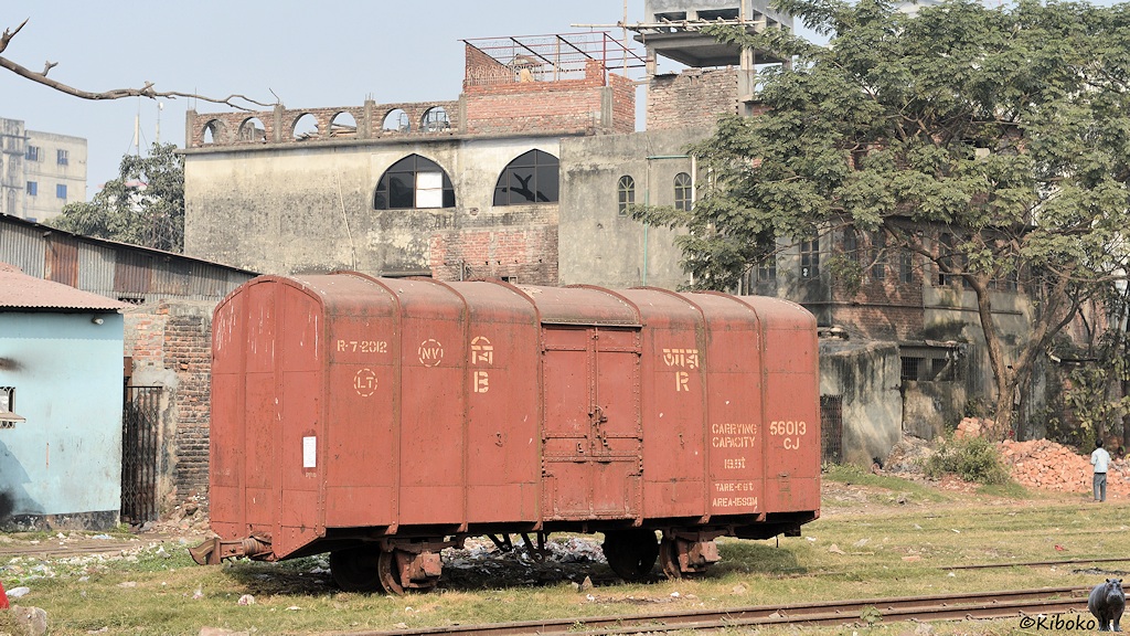 Das Bild zeigt einen braunen zweiachsigen gedeckten Güterwagen. Zwischen den Gleisen ist Gras und Müll. Im Hintergrund steht ein heruntergekommenes dreistöckiges Gebäude aus Beton und Ziegel sowie ein größerer Baum.