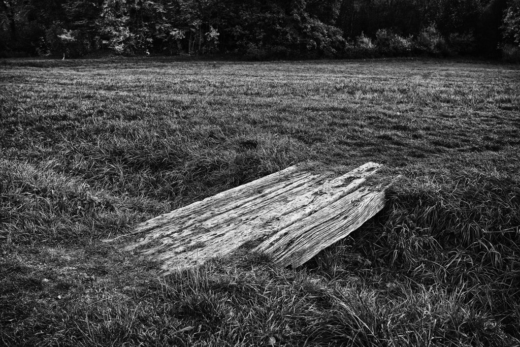 DSCF8198sw-web2.jpg