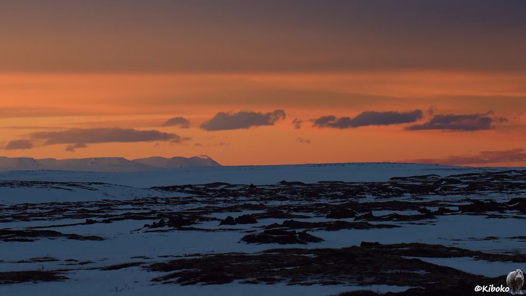 Ein orangefarbener Himmel über schneebedeckte Lavafelder.