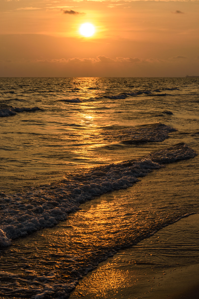 DSC_3318.jpg