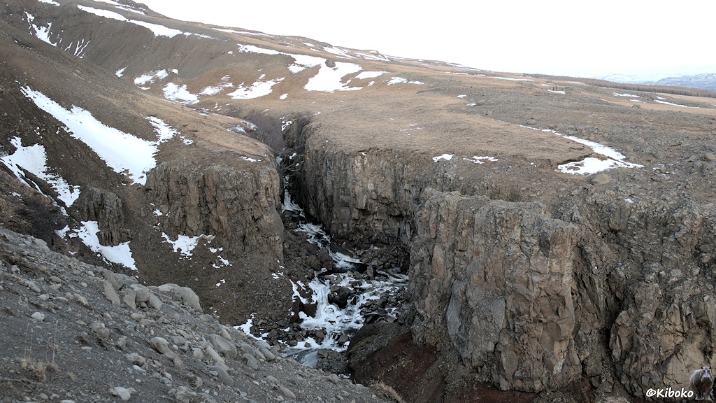 Blick in eine Schlucht mit grauen Felsen und einen weiß schäumenden Bach.