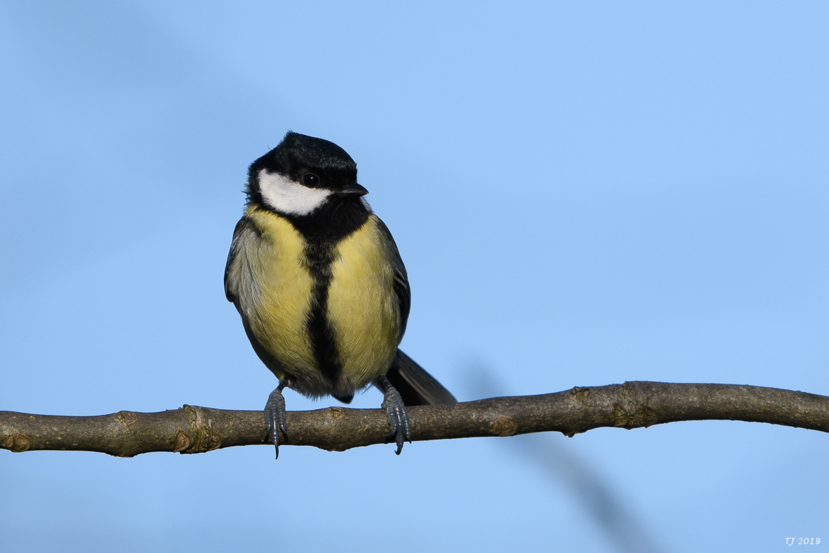 DSC_6863.jpg