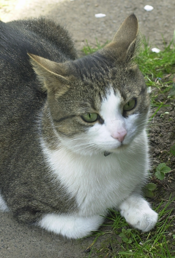 D1-50mm.jpg