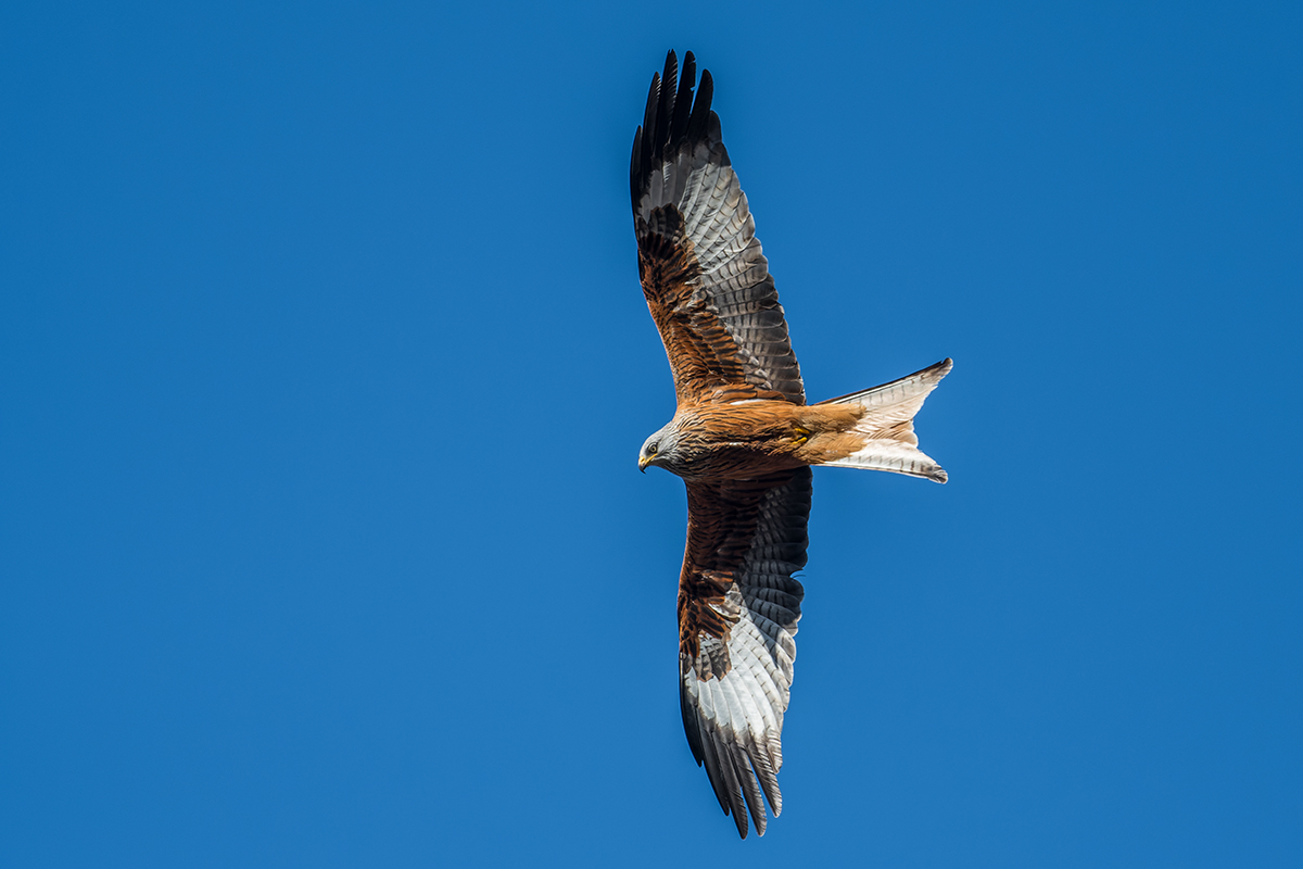 20220129_D500_2359_DxONF.jpg