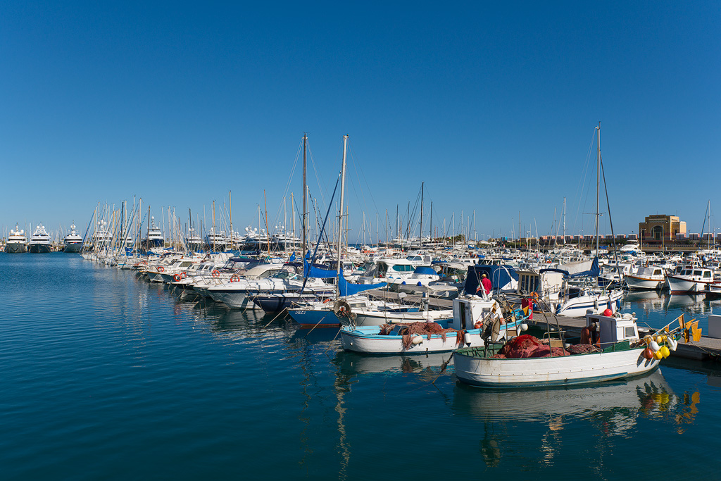 DSC_5418-web.jpg