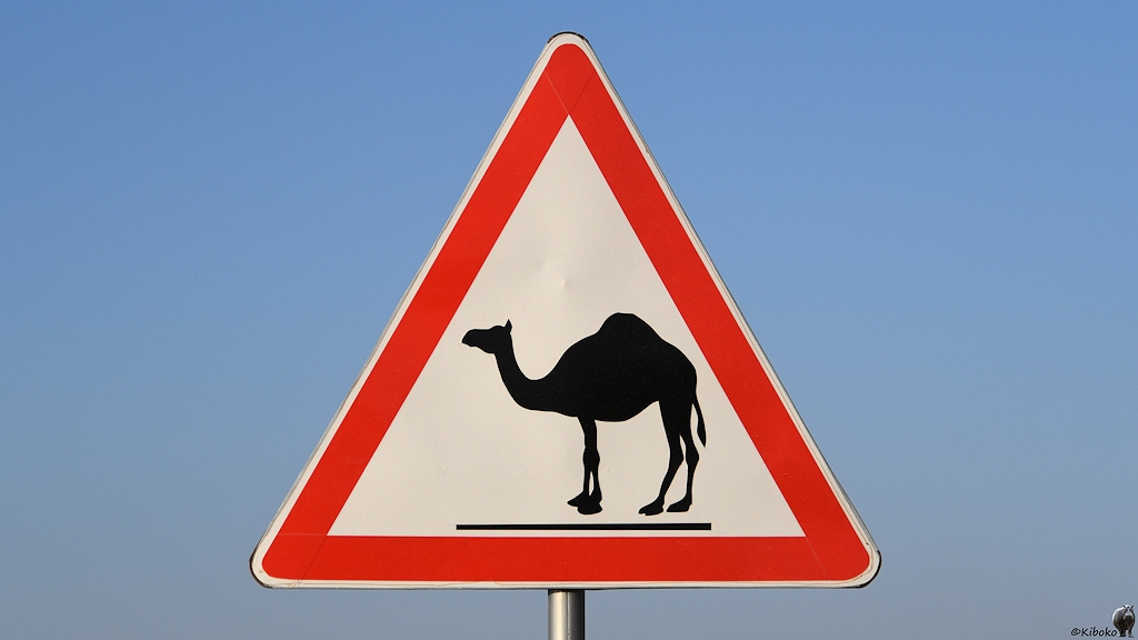 Das Bild zeigt ein dreieckiges Schild mit der Spitze nach oben und rotem Rand. Darauf ist ein schwarzes Dromedar auf weißem Grund.