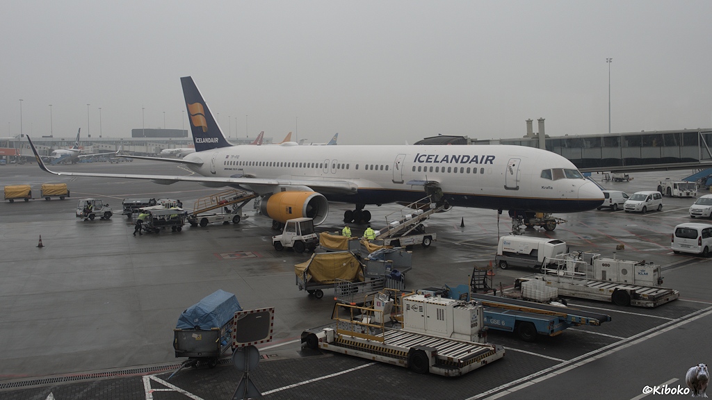 Ein weißes Flugzeug mit dunkelblauem Bauch, gelben Triebwerken und deunkelblauem Leitwerk, steht an einem verregneten Tag mit grauen Wolken auf einem Flughafen. Die Maschine wird mit weißen Paketen beladen
