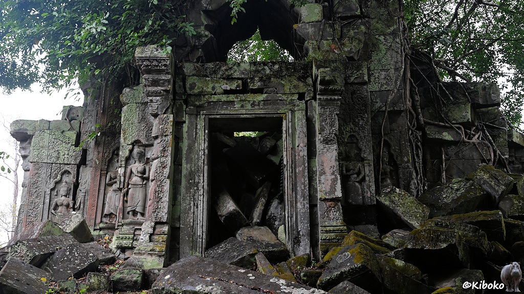 Das Bild zeigt einen zerfallenen Eckturm in der Außengallerie des Tempels. Der Eingang ist durch Steinquader verschüttet. Auf beiden Seiten des Eingangs sind drei Tempeltänzerinnen als Relief in den Sandstein gehauen. Wurzeln von den Bäumen auf den Turm umranken die rechte Seite. Im Vordergrund liegen große Steinquader.