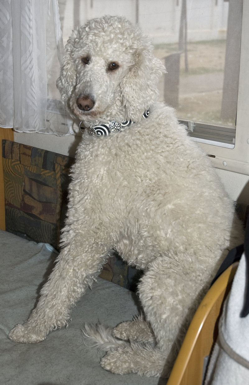 15507812ob.jpg