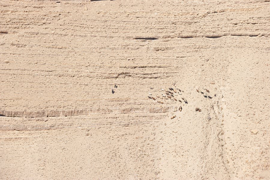 jordanien13_149.jpg