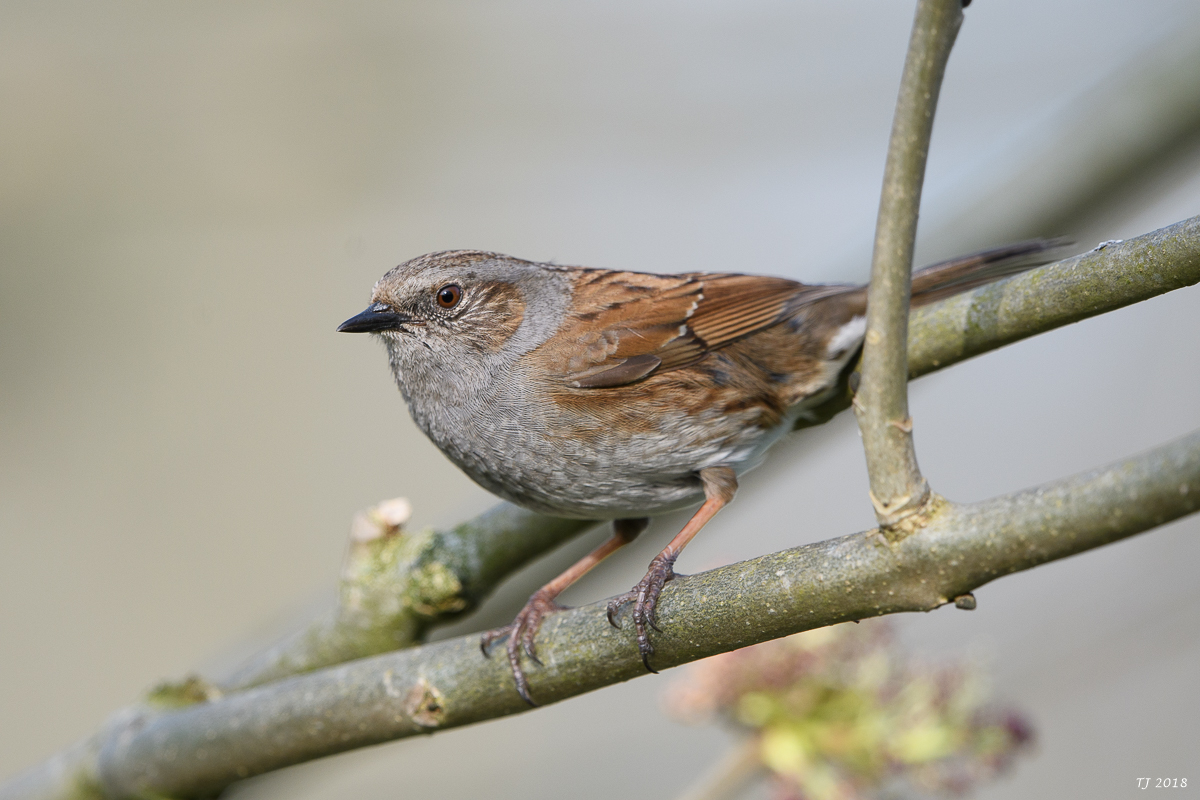 DSC_5010.jpg