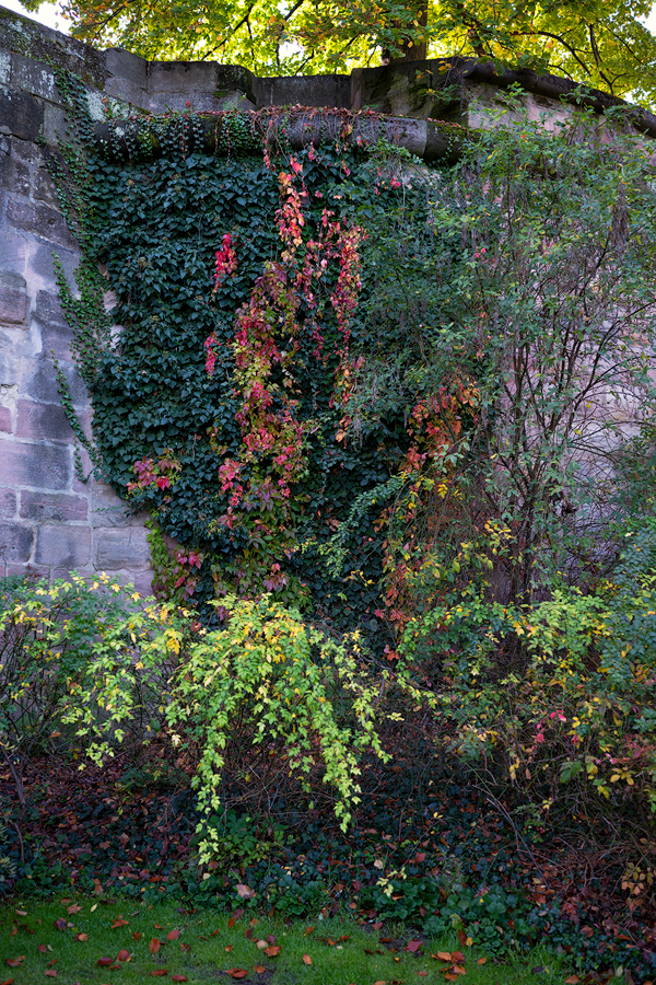 Burggarten-Nbg-2022jpg.jpg