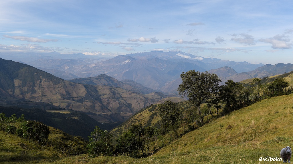 Das Bild zeigt eine Berglandschaft. Im Vordergrund ist eine Wiese und eine Reihe Obstbäume. Dahinter ist ein Tal, ein Bergrücken, ein weiteres Tal und eine Gebirgskette. Am blauen Himmel sind nur vereinzelt Wolken.