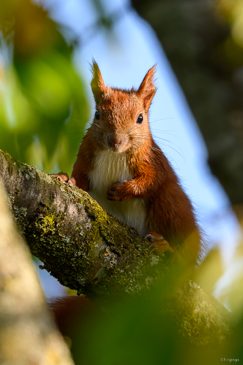 DSC_5405.jpg