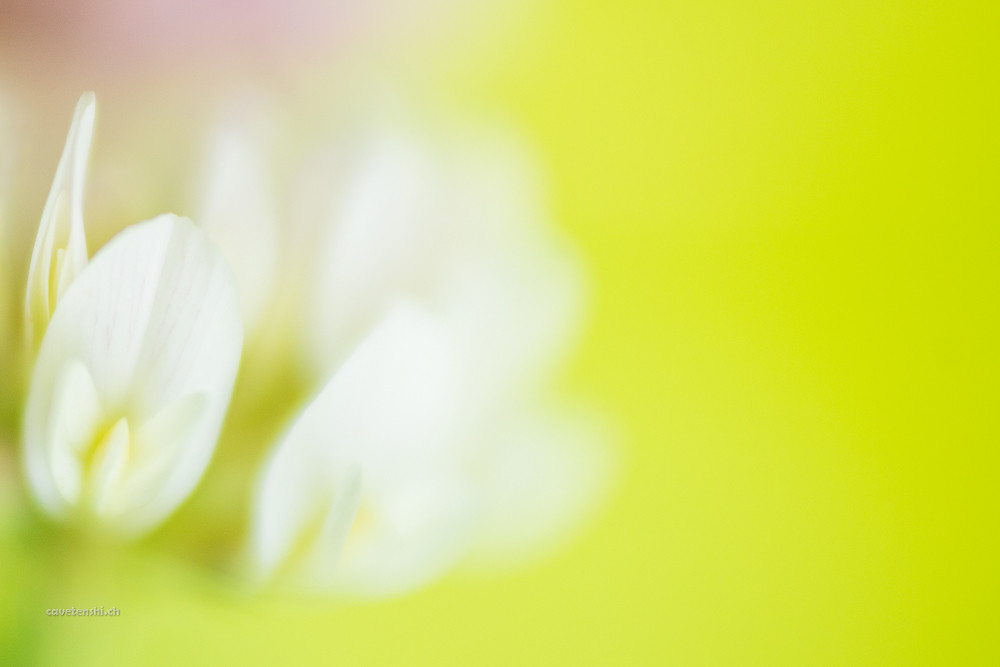 15439110276_6a78a4869e_b.jpg