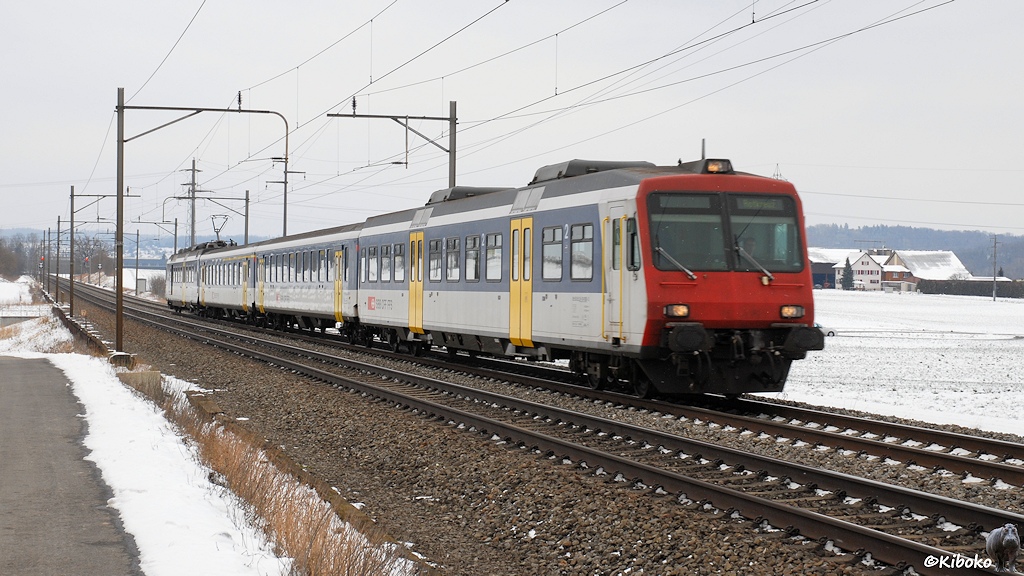Das Bild zeigt einen vierteiligen, weißen Personenzug mit blauem Fensterband, gelben Türen und roter Front auf freier Strecke.