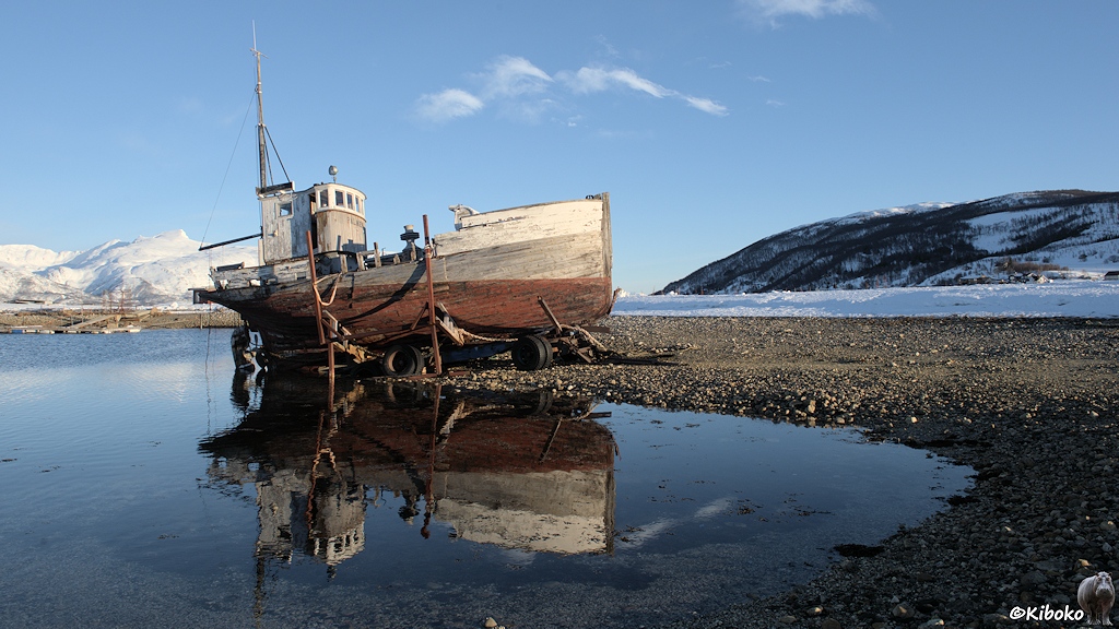 Das Bild zeigt einen alten Fischkutter aus Holz. Der Rumpf ist weiß, grau und rotbraun. Einzelne Bretter fehlen in der Seite. Der Kutter steht auf einen Transportwagen mit luftlosen Reifen auf Strand. Das Schiff spiegelt sich im nahen Wasser.