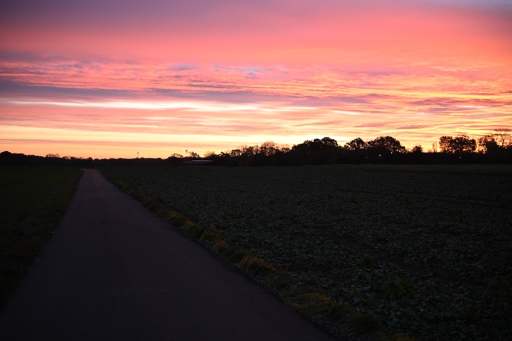 DSC_8735-XL.jpg