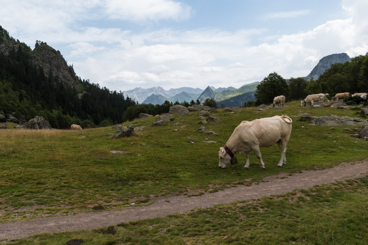 GR10_2017_07_0642.jpg