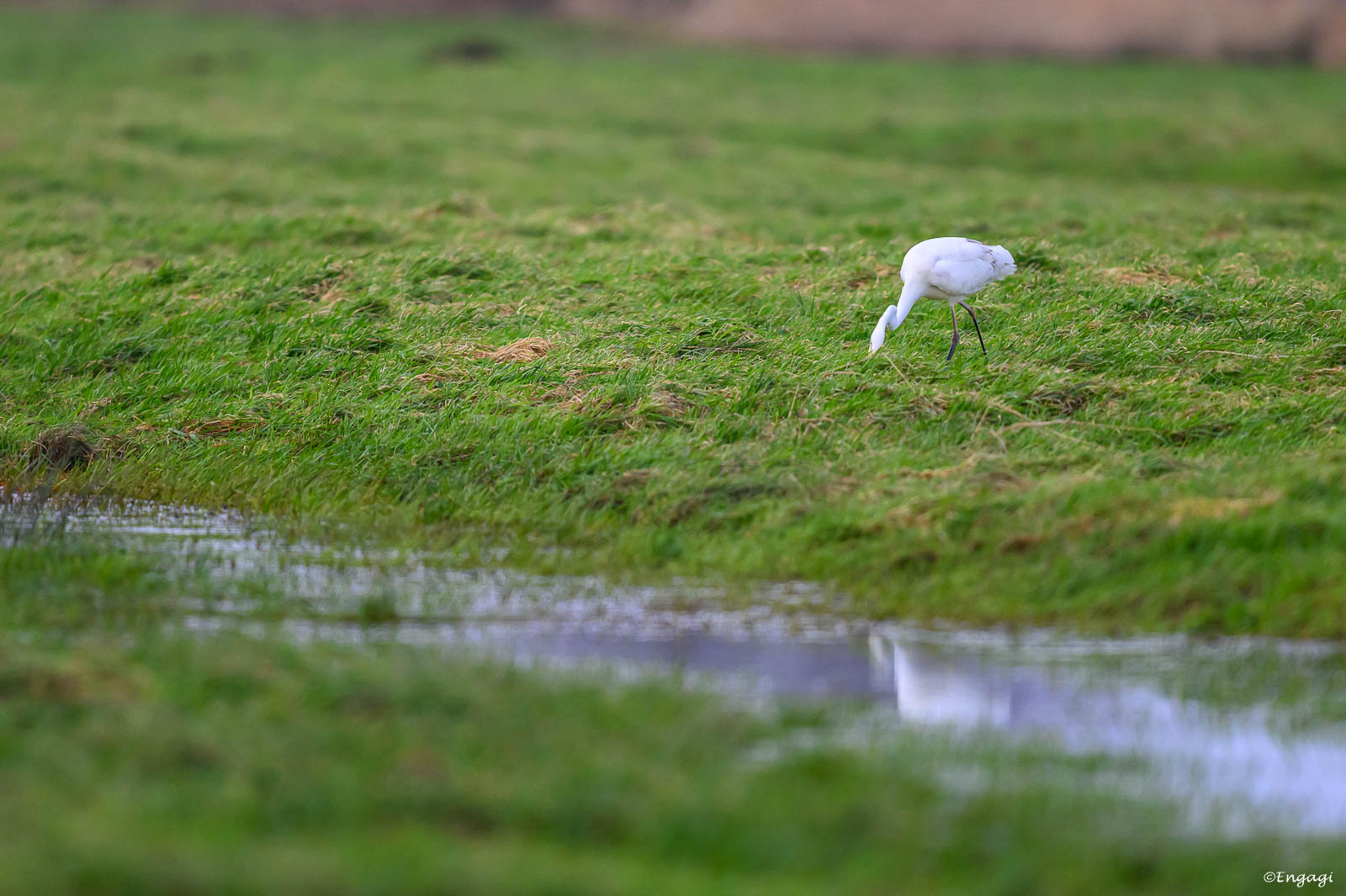 DSC_5227.jpg