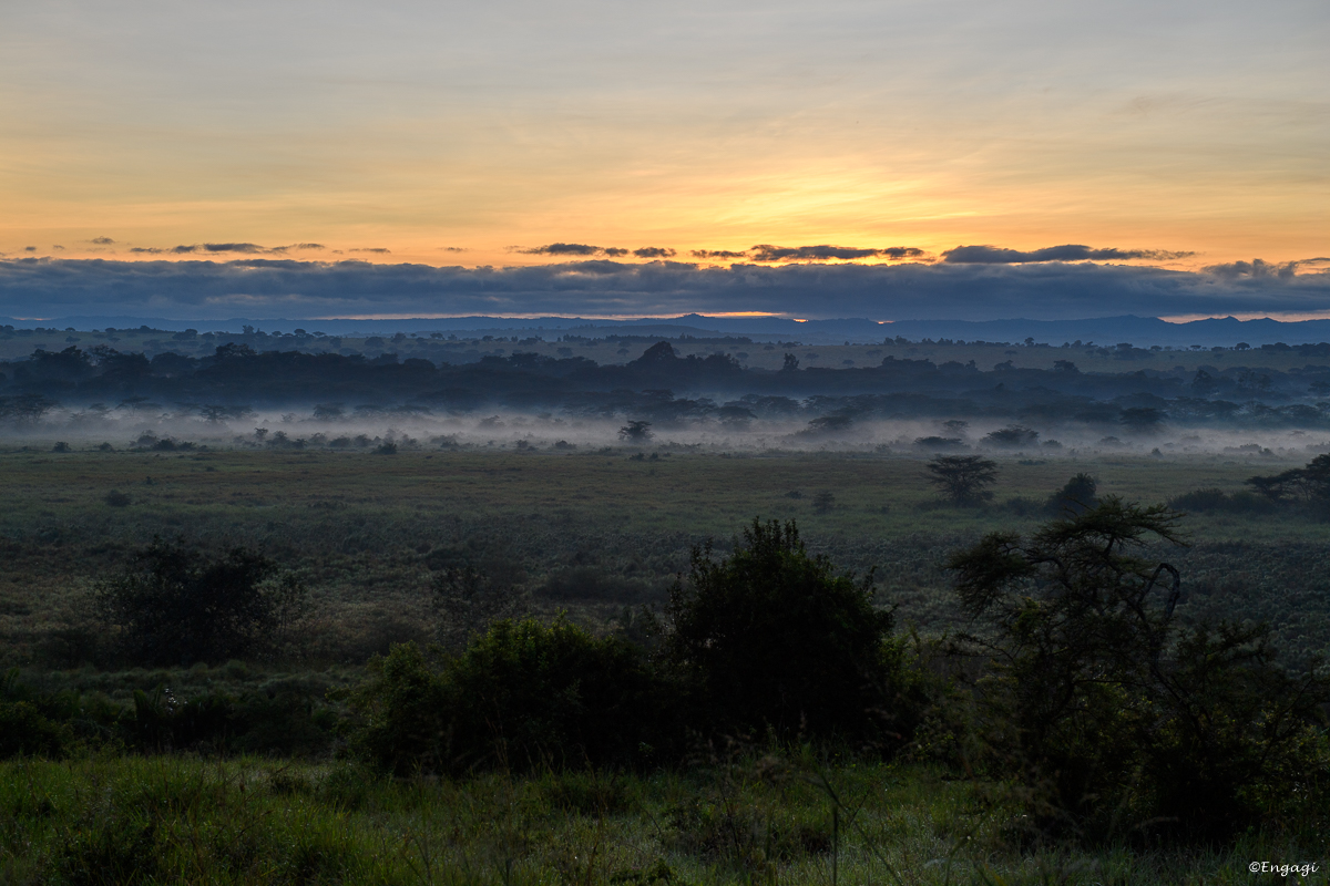 Uganda%201670.jpg