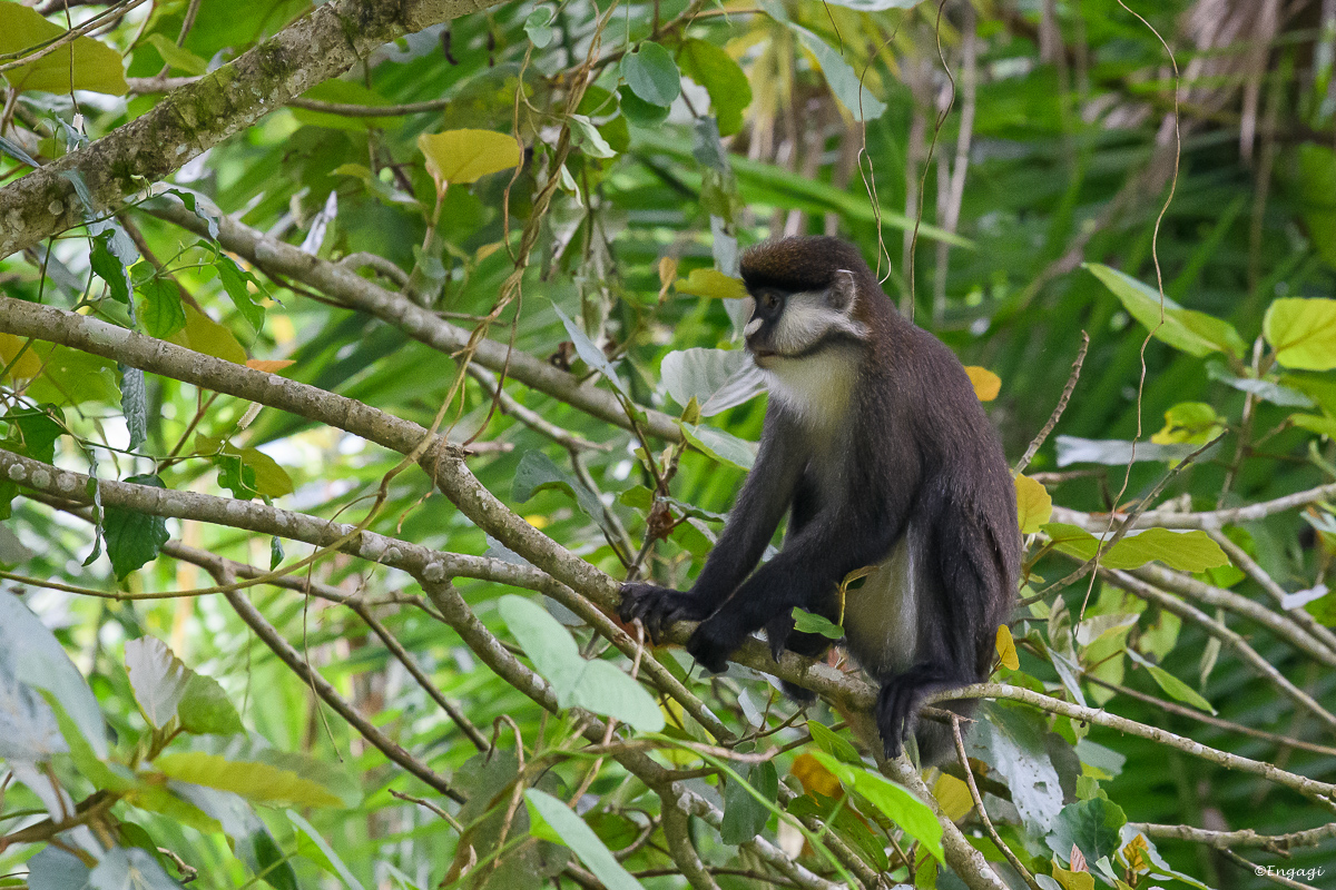Uganda%200840.jpg