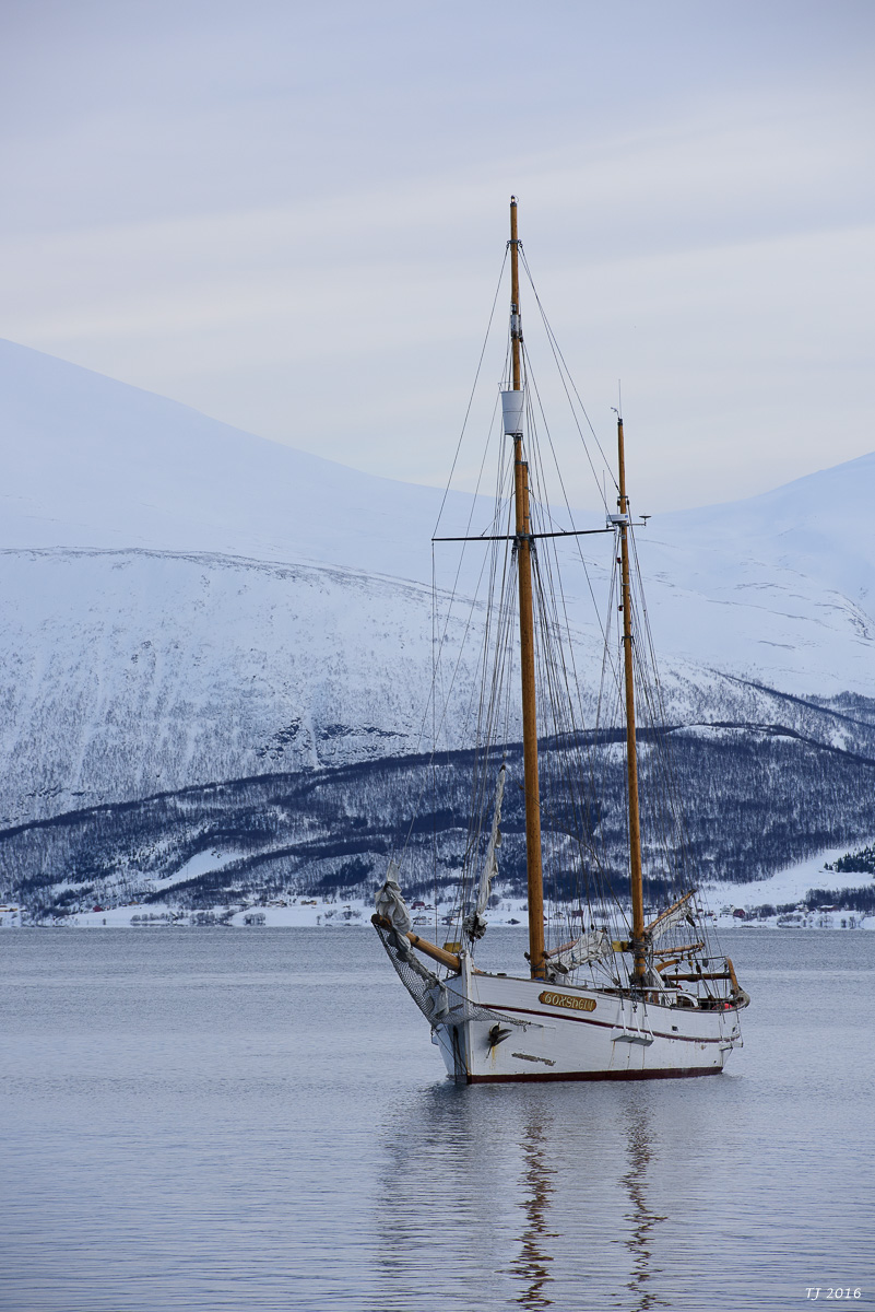 DSC_2874.jpg