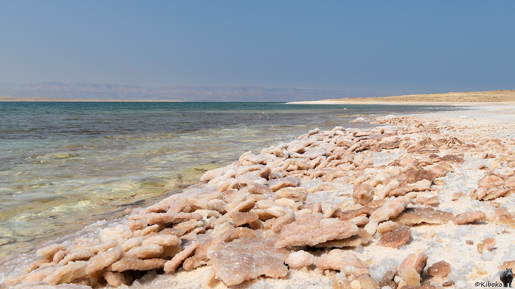 braune Salzplatten am Salzstrand