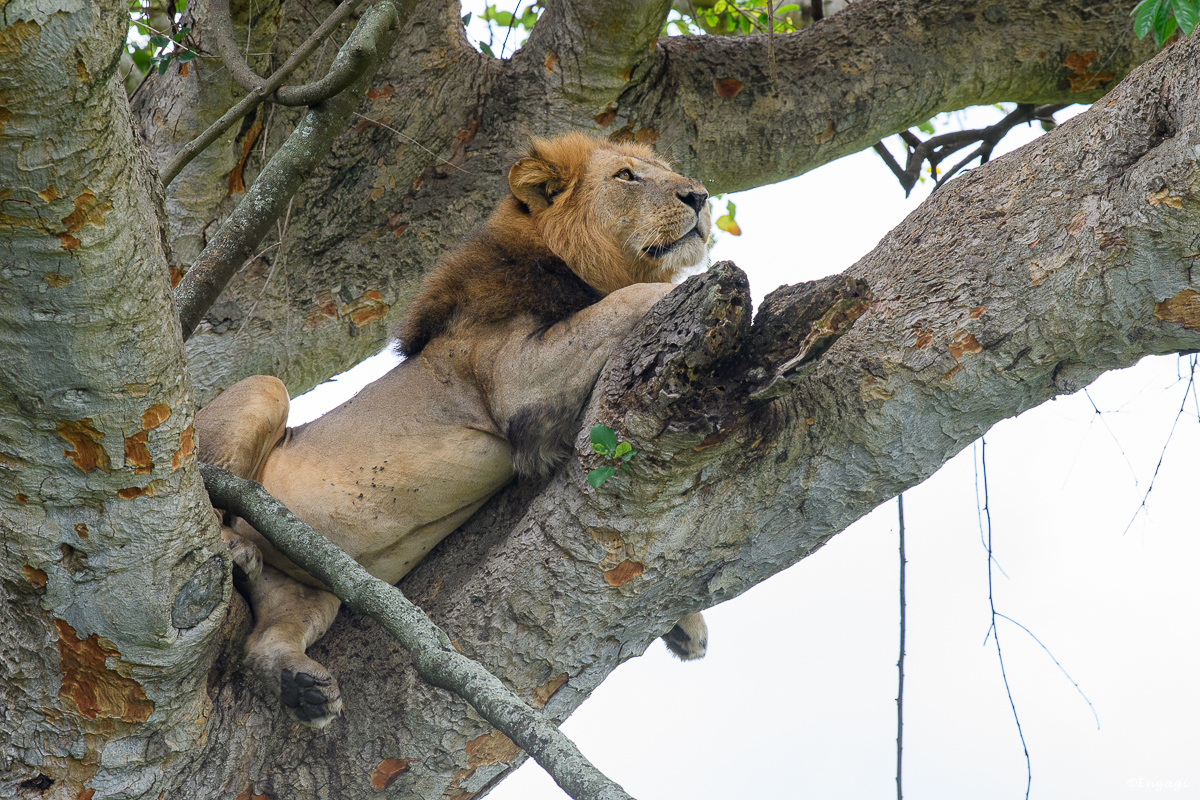 Uganda%201794.jpg