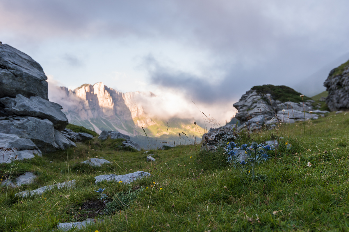 GR10_2017_07_0320.jpg