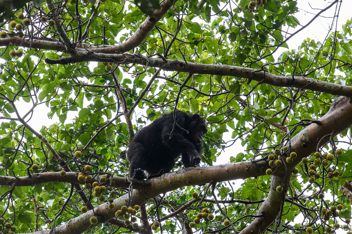 Uganda%200774.jpg