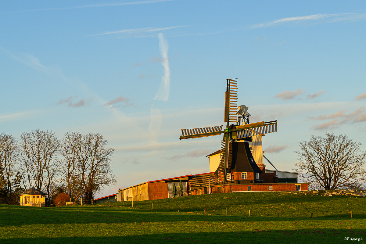 DSC_0724.jpg