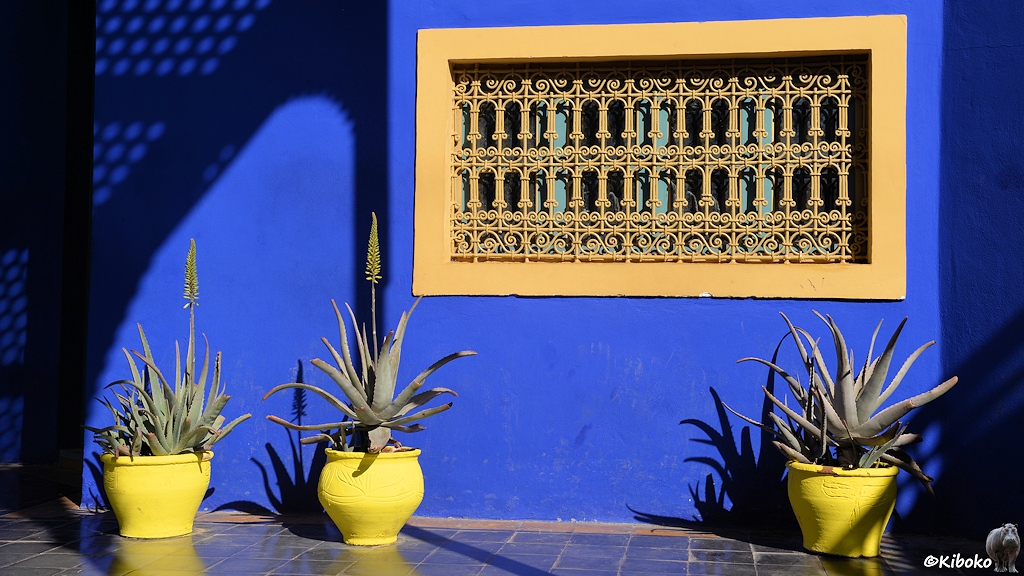 Vor einer blauen Wand mit gelben Gitterfenster stehen drei gelbe Blumentöpfe.