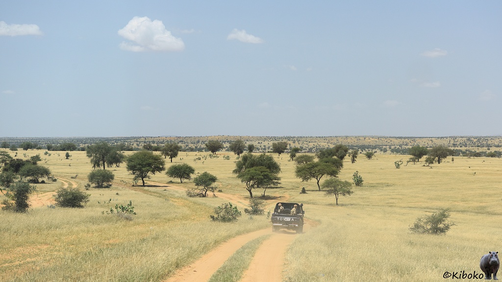 Das Bild zeigt einen dunklen Geländewagen von hinten auf einem Feldweg einem Hügel herunterfahren. Der Feldweg führt durch eine Savannenlandschaft aus trockenem Gras mit vereinzelnten Bäumen.