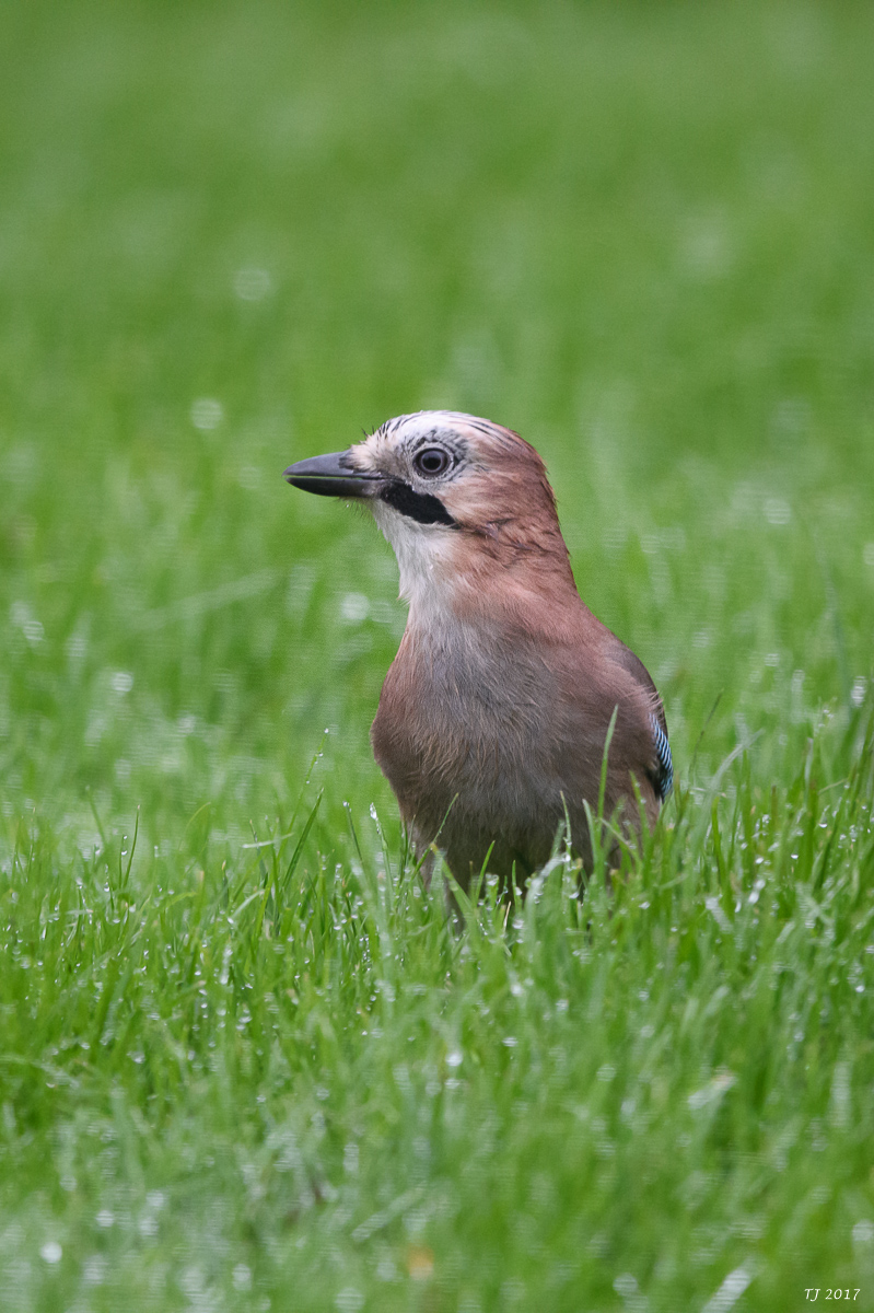DSC_2879.jpg