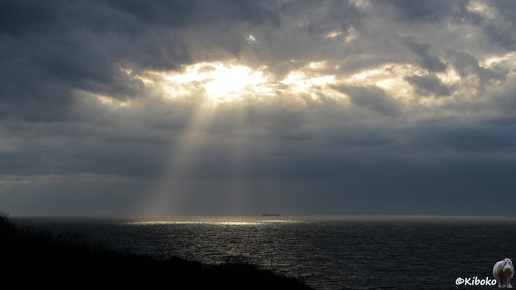 Das Bild zeigt eine Lücke in der dunkelgrauen Wolkendecke über dem Meer. Durch die Lücke scheint die Sonne und beleuchtet einen Stelle auf dem Meer. Am Horizont fährt ein großes Schiff. Im Vordergrund ist links unten die Silhouette von Gras auf einer Klippe.