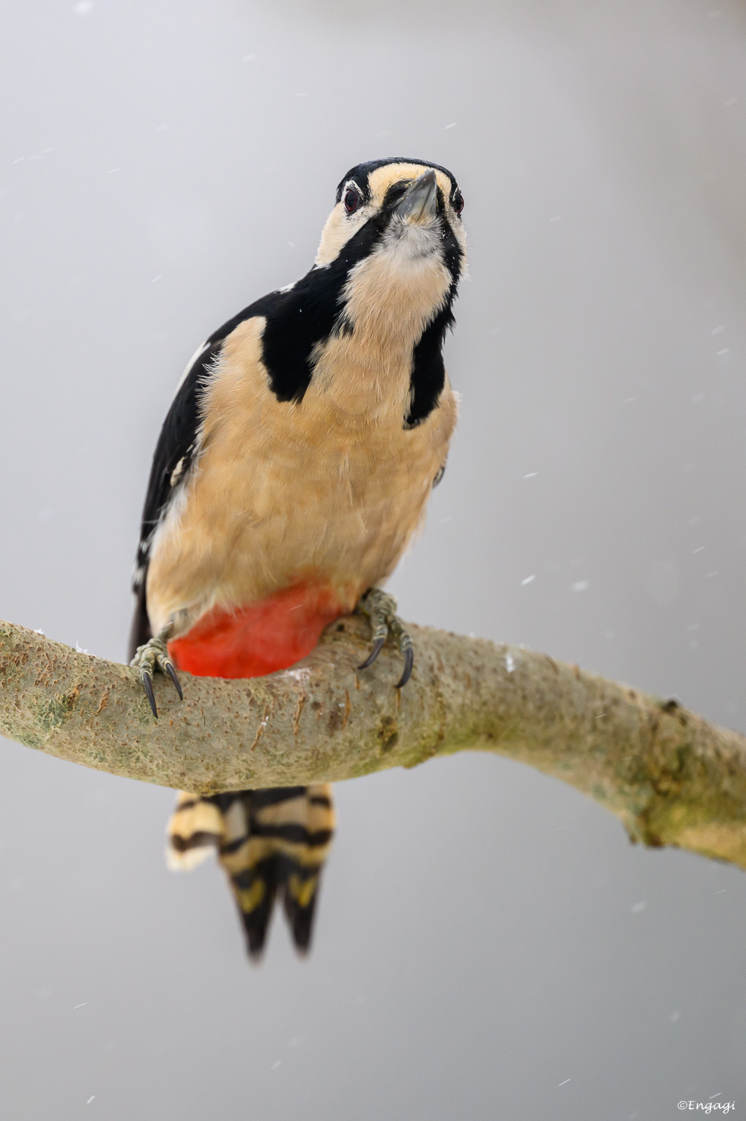 DSC_4545.jpg