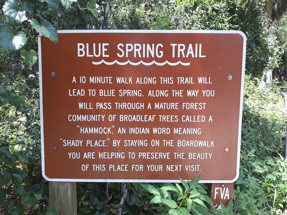 BlueSpring.jpg