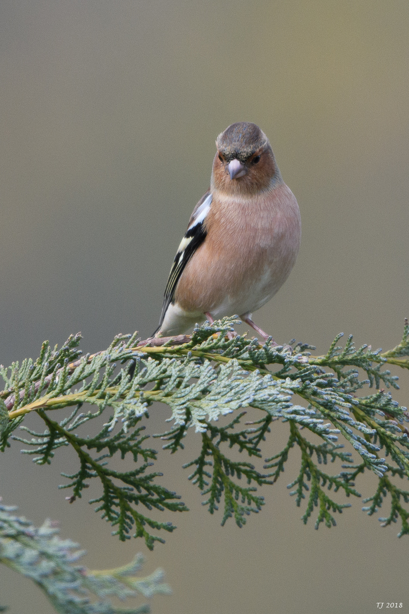 DSC_5717.jpg