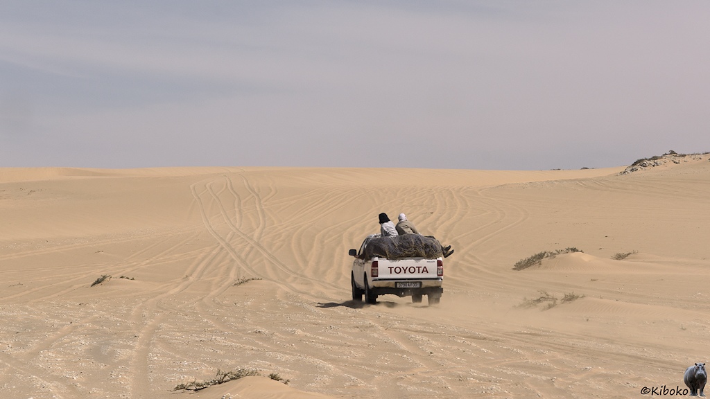 Das Bild zeigt einen weißen Geländewagen von hinten, der einen Hang im beigefarbenen Tiefsand herunterfährt. Autospuren führen fächerförmig zum Horizont.