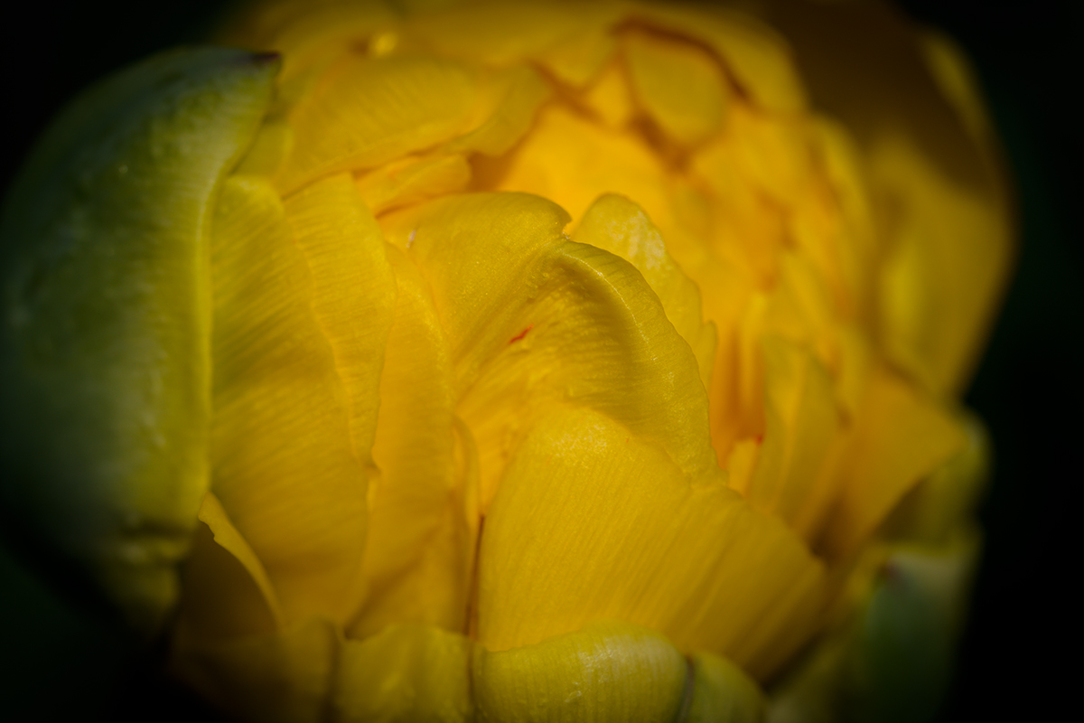 20210419_NZ7_0725NF.jpg