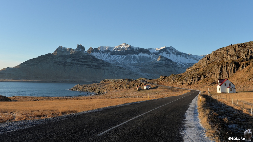 Eine Teestraße führt an gelben Wiesen entlang. Links ist das blaue Meer. Rechts von der Straße steht ein weißes Haus mit rotem Dach. Dahinter sind Felsen. Im Hintergrund sind schneebedeckte Berge.