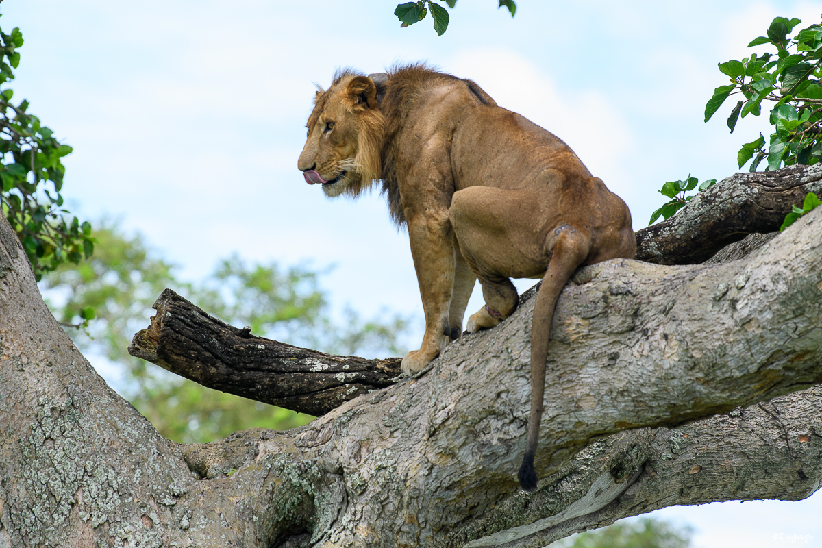 Uganda%201561.jpg